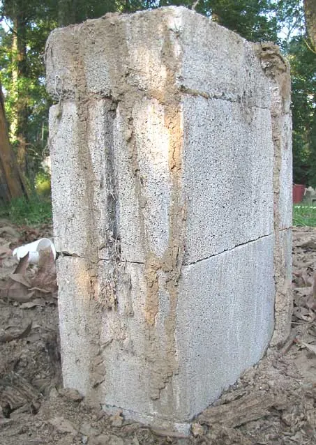 Subterranean termite mud tubes climbing a building foundation